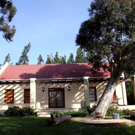 Calais Wine Estate Guest House Paarl Ngoại thất bức ảnh