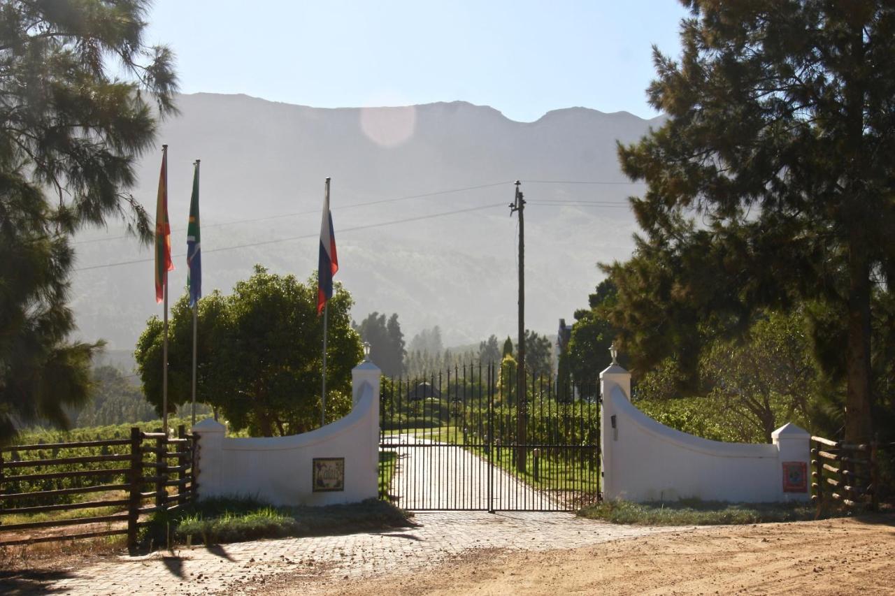 Calais Wine Estate Guest House Paarl Ngoại thất bức ảnh