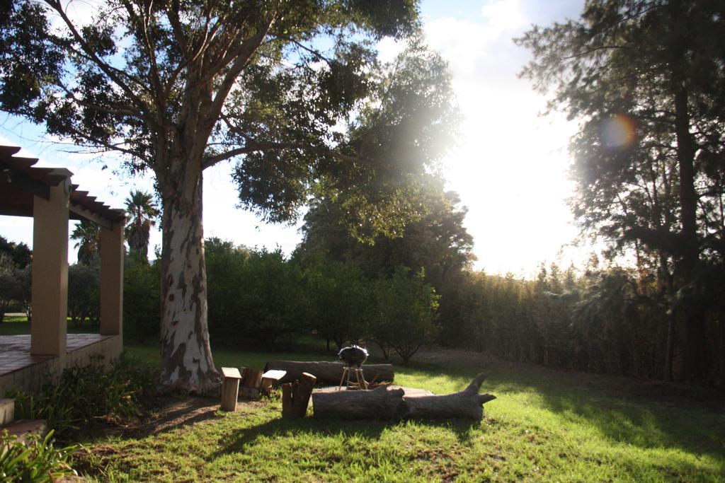 Calais Wine Estate Guest House Paarl Ngoại thất bức ảnh