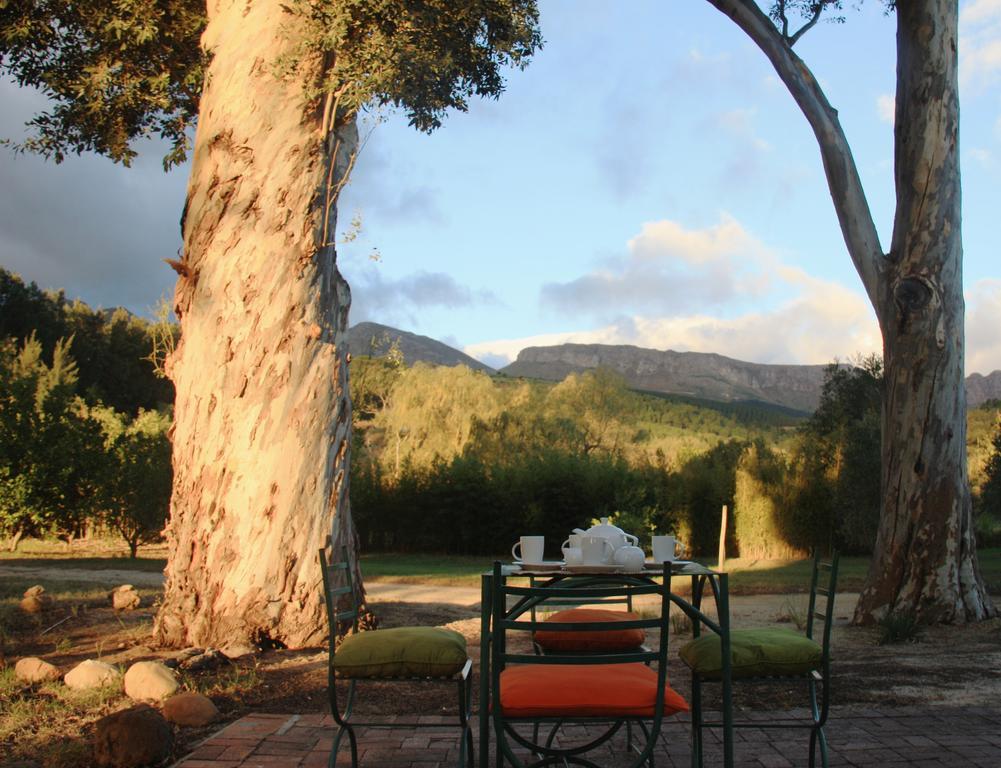 Calais Wine Estate Guest House Paarl Ngoại thất bức ảnh