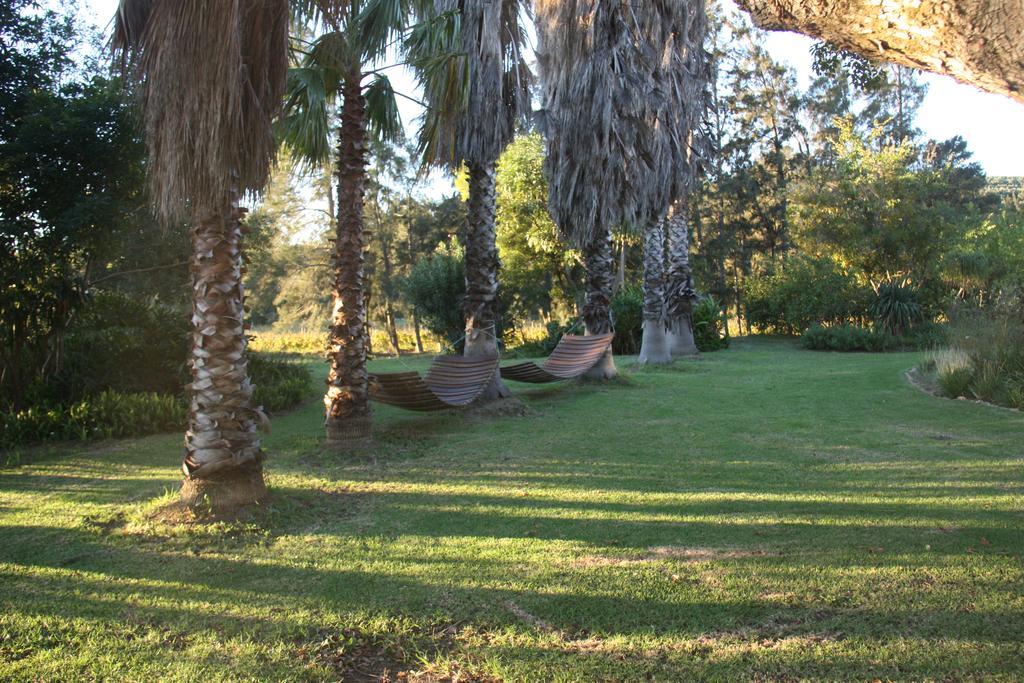 Calais Wine Estate Guest House Paarl Ngoại thất bức ảnh