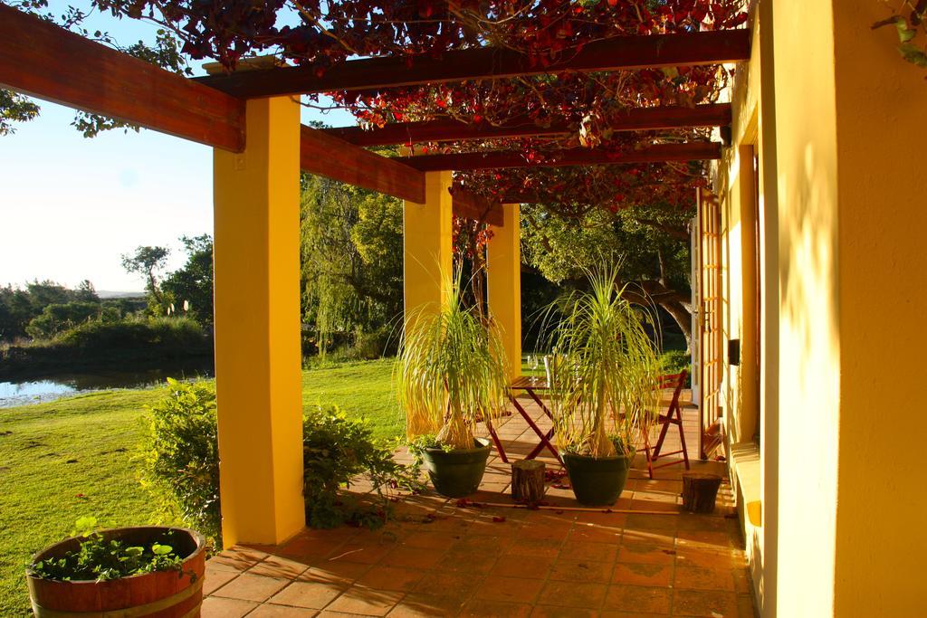 Calais Wine Estate Guest House Paarl Ngoại thất bức ảnh